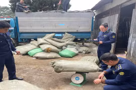 Bộ trưởng Công Thương: Tinh gọn bộ máy nhưng không bỏ trống thị trường