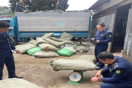 Bộ trưởng Công Thương: Tinh gọn bộ máy nhưng không bỏ trống thị trường