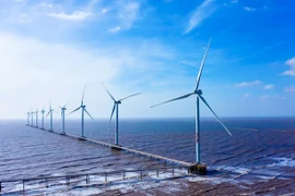 EVN tiếp tục giục chủ đầu tư dự án năng lượng tái tạo gửi hồ sơ để thỏa thuận giá điện