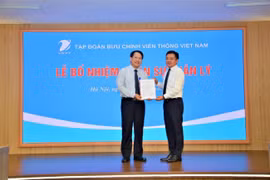 Bổ nhiệm ông Nguyễn Văn Tấn làm Tổng giám đốc VNPT VinaPhone