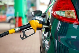 Chính phủ yêu cầu xử lý kiến nghị của doanh nghiệp bán lẻ xăng dầu