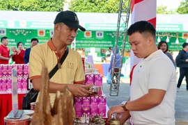 Khai mạc Ngày hội sản phẩm vùng đồng bào dân tộc thiểu số và miền núi phía Bắc