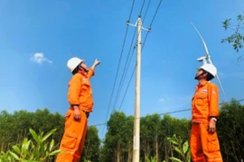 EVN có những vi phạm gì theo Kết luận thanh tra chuyên ngành về điện của Bộ Công Thương?