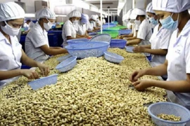 Vì sao nhiều doanh nghiệp Việt Nam chưa tận dụng hết ưu đãi từ CPTPP?