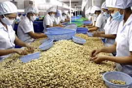 Vì sao nhiều doanh nghiệp Việt Nam chưa tận dụng hết ưu đãi từ CPTPP?