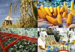 Xuất nhập khẩu bị tác động mạnh bởi sự kiện biển Đông