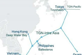 Cáp quang biển IA, APG cùng gặp sự cố