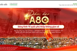 Hào khí Việt Nam lan tỏa trên không gian số