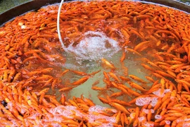 Chợ Tết ông Công ông Táo: Người bán “sốt ruột” đợi khách