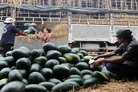 Giao thương với Trung Quốc: Trong "nguy" có "cơ"