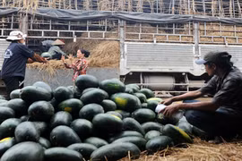 Giao thương với Trung Quốc: Trong "nguy" có "cơ"