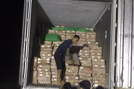 Phát hiện gần 25 tấn chân gà đông lạnh không rõ xuất xứ đang trên đường tiêu thụ