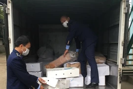 Sát Tết, liên tiếp phát hiện thực phẩm “bẩn” 