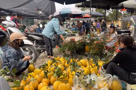 Chợ Tết: Vắng vẻ hơn nhiều so với mọi năm, giá cả chỉ biến động nhẹ