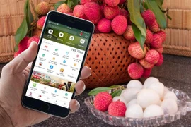 Đưa nông sản lên sàn thương mại điện tử còn nhỏ lẻ, hạn chế