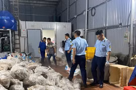 Hà Nội: Phát hiện gần 11 tấn thịt và nội tạng bò không rõ nguồn gốc