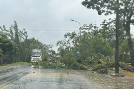 Bão số 3 gây mất điện nhiều nơi