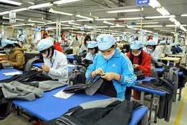 Năm 2024: Chuyên gia dự báo GDP tăng cao nhất 6,5%