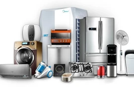 Việt Nam nhập khẩu đồ điện gia dụng và linh kiện chủ yếu từ thị trường nào?