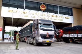 Trung Quốc gỡ bỏ tất cả các biện pháp xét nghiệm phòng chống Covid-19 tại các cửa khẩu 