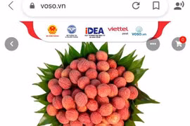 Chuyên gia “mách nước” để nông sản cạnh tranh trên sàn thương mại điện tử