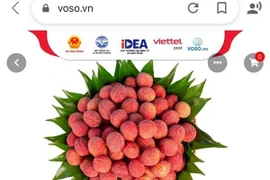 Chuyên gia “mách nước” để nông sản cạnh tranh trên sàn thương mại điện tử