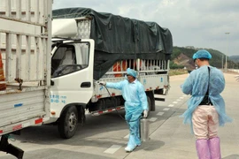 Bộ Công Thương thông tin về việc Trung Quốc tạm dừng nhập khẩu thanh long Việt Nam