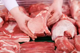 Thực hiện ngay các biện pháp bình ổn giá thịt lợn