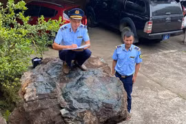 Tịch thu 9,6 tấn đá cảnh Suối Giàng đang được vận chuyển đi tiêu thụ