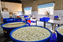 Phát hiện hơn 13 tấn chân gà ngâm chất cấm