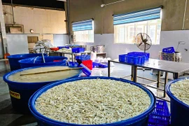 Phát hiện hơn 13 tấn chân gà ngâm chất cấm