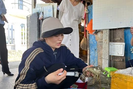 Cảnh báo việc bơm tạp chất vào tôm hùm chết để lừa người tiêu dùng