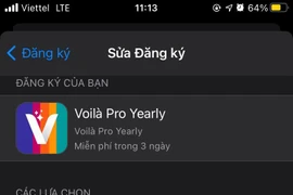 Ứng dụng chỉnh sửa ảnh Voilà AI Artist: “Đọc kỹ hướng dẫn sử dụng trước khi dùng”!