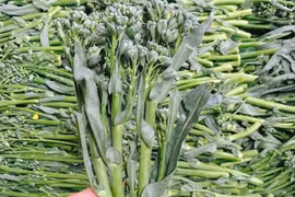 Giá rau xanh rẻ như cho sau Tết