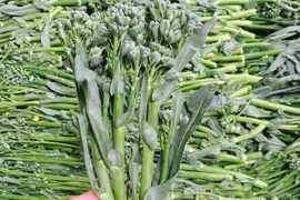 Giá rau xanh rẻ như cho sau Tết