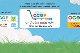 Hà Nội: Thí điểm mô hình "Chợ đêm trên mây"