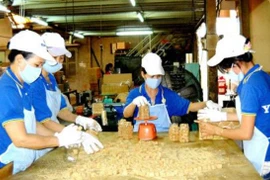 Dự báo mới thận trọng hơn về tăng trưởng kinh tế, áp lực lạm phát hiện hữu