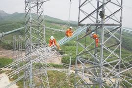 Yêu cầu vận hành an toàn, ổn định các nhà máy điện