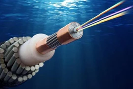 Hai tuyến cáp quang biển cùng gặp sự cố