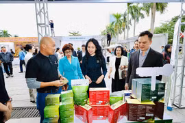 Xuất khẩu hàng Việt qua thương mại điện tử, doanh nghiệp chậm chân sẽ “mất chỗ”