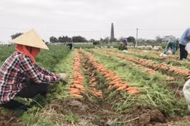 Thu mua, tiêu thụ sản phẩm hàng hóa, nông sản của vùng đang có dịch như thế nào?