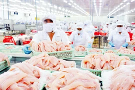 Bảy doanh nghiệp Việt Nam “thoát” thuế chống bán phá giá cá tra phile tại Mỹ