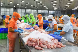 Thu hơn 1,2 tỷ USD từ xuất khẩu cá tra