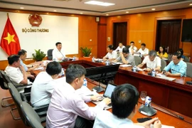 Hôm nay (10-6): Bắt đầu thanh tra chuyên ngành tại EVN