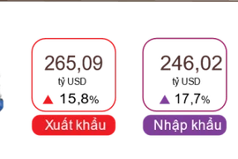 Xuất nhập khẩu kỳ vọng đạt 800 tỷ USD trong năm nay
