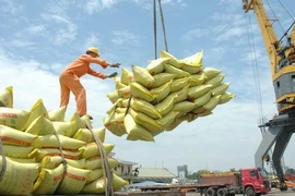 Việt Nam sẽ xuất khẩu 10.000 tấn gạo vào EAEU
