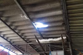 Đứng bán gà, tiểu thương bị bê tông rơi trúng, gãy chân