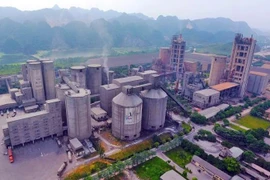 Thanh tra Tổng Công ty Xi măng Việt Nam - Vicem và 3 công ty con