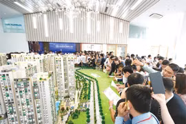 Cá nhân kinh doanh bất động sản có thể chỉ được bán, cho thuê tối đa 5 căn hộ mỗi năm