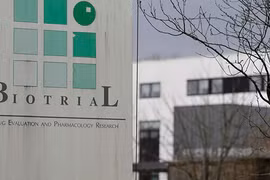 Chết não vì thử nghiệm thuốc